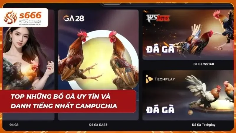 Đá Gà Campuchia | Trực Tiếp Những Trận Chiến Đỉnh Cao 2026 5 Địa điểm kê chiến tranh tài quy mô lớn nâng tầm trải nghiệm cho cược thủ