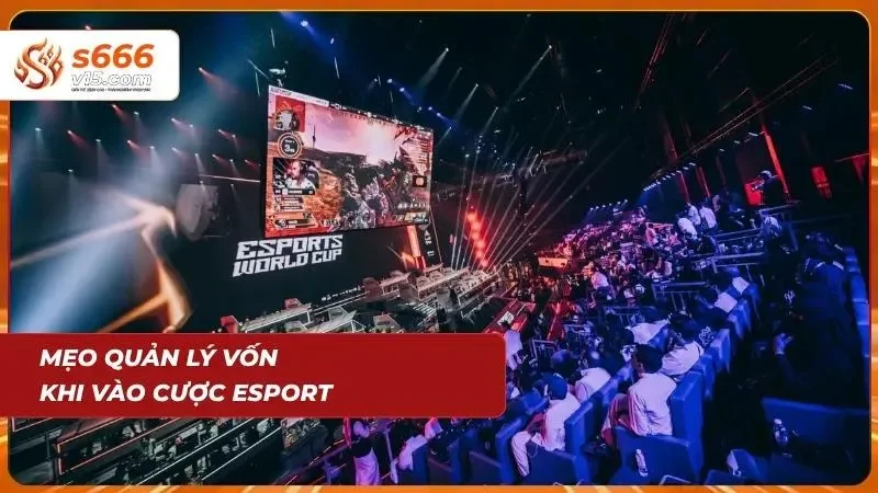 Soi Kèo Esport | Kinh Nghiệm Cược Thể Thao Điện Tử Hiệu Quả 8 Việc kiểm soát tài chính thông minh giúp bet thủ duy trì lợi thế dài lâu